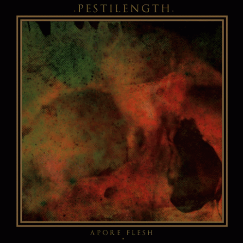 Pestilength : Apore Flesh